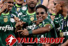 Endrick stars as Palmeiras claim extraordinary Brazilian title
