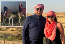 Wayne and Coleen Rooney seen wearing head scarfs as they ride camels in Dubai desert on luxury holiday